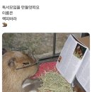 닭발하우스 네이버블로그