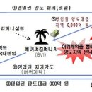 돈조세