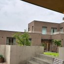 아이보리 타이거 이미지