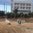 페리아 902 오션뷰 스파 펜션 이미지