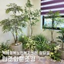 인조화분조경, 감각적인 연출로 특색 있고 분위기 있는 공간 인테리어! 노인복지센터 상담실