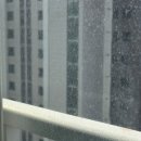 화산 | 대구 아파트 유리창청소 과정 범어화산샬레 후기