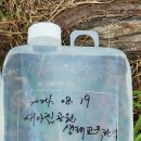 새아침공원(테니스장 옆) 이미지