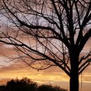 알뜰한약국 이미지