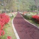 진영공원 이미지