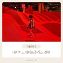 네이처스케이프 플러스 동탄 대형키즈카페 36개월 후기