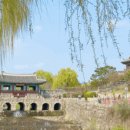 수원-0404 이미지