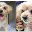 방학동물외과센터 이미지