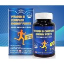 에버그린 이미지