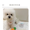 아이드큐