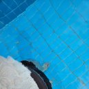 메이브리즈 | 경주 숙소 추천 / 풀장있는 풀빌라 [메이브리즈풀빌라: 101호]