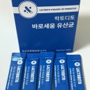 락토디토 바로세움 유산균 남자유산균 추천