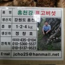 홍천노내골농장 이미지