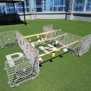 도그유토피아 살롱 이미지