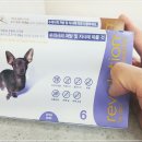 유림온누리약국 이미지