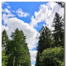 (주)씨아인 이미지