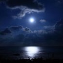 달빛되어 이미지