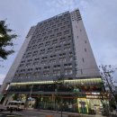 링크 늘푸른 애견호텔 | [속초가볼만한곳]속초마리비스타호텔 강원애견동반숙소,역대급 야경 호텔