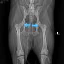 개금동물병원 이미지