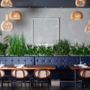 신사동-1 이미지