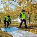 자매유통 이미지