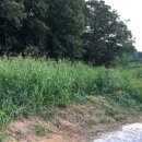 동막동(1) 이미지