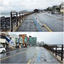 김해횟집 - 창원시 진해구 용원동로 213-1 | 김해횟집