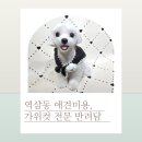 강남펫스타일 | 역삼동애견미용 강남반려견미용 1인예약제미용샵 프리미엄펫살롱 반려견스타일링 전문샵