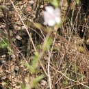 무심농장 이미지