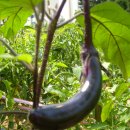 계절회관 이미지