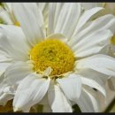 노라조PC방 이미지