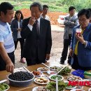 김옥태 농장 이미지