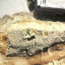 연천학곡리고인돌 이미지