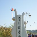 익산 천만송이 국화꽃 축제 이미지