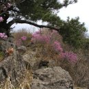지경소 이미지