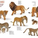 해동물병원 이미지