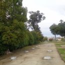 고대1098 이미지