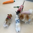 로엘유치원 이미지