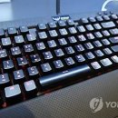 행정용 50 이미지