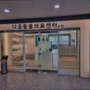 다올동물의료센터 망포점 | 수원 망포동 동몰병원 다올동물의료센터 망포점 복강경수술 전문 동물병원