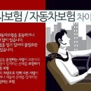 자동차보험과 운전자보험 차이점 이미지