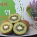 고성유통 이미지