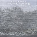 상심정지 이미지