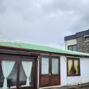 서월화 | [제주도 여행] 서월화 | 달의 꽃, 제주 동쪽 감성숙소, 내돈내산 솔직후기