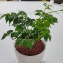 에코농장 이미지