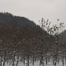 힐링 겨울여행지,조용한 겨울여행지 속리산~속리산활목재산장 이미지