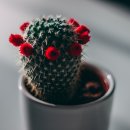 반달마을 극동아파트 이미지