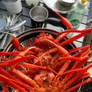 향림오토캠핑장 이미지