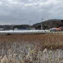 루나(LUNA)PC cafe | 청주시 외곽에 있는 조용한 장암동 연꽃축제가 열리는 방죽마을 카페 LUNA루나