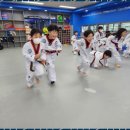 용인대 청명 태권도 이미지